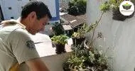 Curso de NOÇÕES BÁSICAS EM AGENTE DE ENDEMIAS
