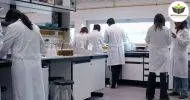 Curso de NOÇÕES BÁSICAS EM AUXILIAR DE LABORATÓRIO DE BIOQUÍMICA CLÍNICA