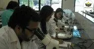 Curso de NOÇÕES BÁSICAS EM AUXILIAR DE PARASITOLOGIA - EPF