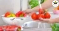 Curso de INTRUDUÇÃO EM BOAS PRÁTICAS PARA CONSERVAÇÃO DE ALIMENTOS
