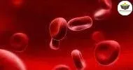 Curso de NOÇÕES BÁSICAS EM ANEMIAS