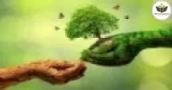 Curso de NOÇÕES BÁSICAS EM EDUCAÇÃO AMBIENTAL: NATUREZA, RAZÃO E HISTÓRIA