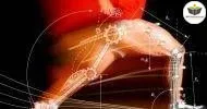Curso de NOÇÕES BÁSICAS EM FISIOLOGIA DO EXERCÍCIO