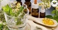 Curso de NOÇÕES BÁSICAS EM FITOTERAPIA