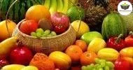 Curso de NOÇÕES BÁSICAS EM FRUTOLOGIA E FITOTERAPIA