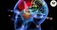 Curso de FUNDAMENTOS BÁSICOS DA NEUROCIÊNCIA