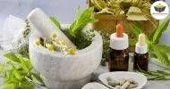 Curso de NOÇÕES BÁSICAS EM HOMEOPATIA