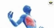 Curso de PRINCÍPIOS BÁSICOS EM CINESIOTERAPIA