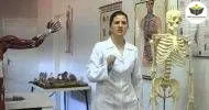 Curso de INTRODUÇÃO EM FISIOLOGIA GERAL