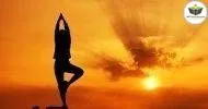 Curso de BÁSICO DE IOGA (YOGA)