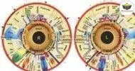 Curso de NOÇÕES BÁSICAS EM IRIDOLOGIA