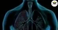 Curso de NOÇÕES BÁSICAS SOBRE SISTEMA RESPIRATÓRIO