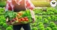 Curso de NOÇÕES BÁSICAS DA PRODUÇÃO DE SEMENTES DE HORTALIÇAS PARA A AGRICULTURA FAMILIAR