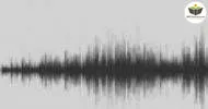 Curso de NOÇÕES BÁSICAS EM RADIOFREQUÊNCIA