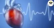 Curso de Sistema de Condução Cardíaco e Eletrocardiograma