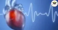 Curso de NOÇÕES BÁSICAS DO SISTEMA DE CONDUÇÃO CARDÍACO E ELETROCARDIOGRAMA