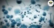 Curso de NOÇÕES BÁSICAS EM TERAPIA ORTOMOLECULAR