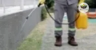 Curso de Controle de Pragas Urbanas